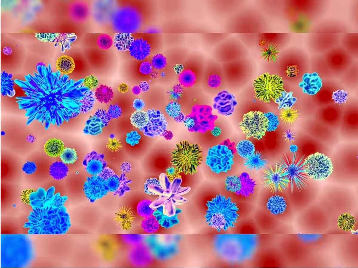 राजस्थान में चांदीपुरा वायरस के मामले बढ़कर हुए चार, 74 लोग संदिग्ध